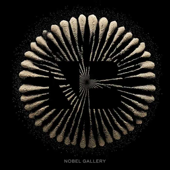 Nobel Gallery — Nobel Booking