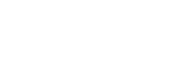 Michel wordmark, light variant